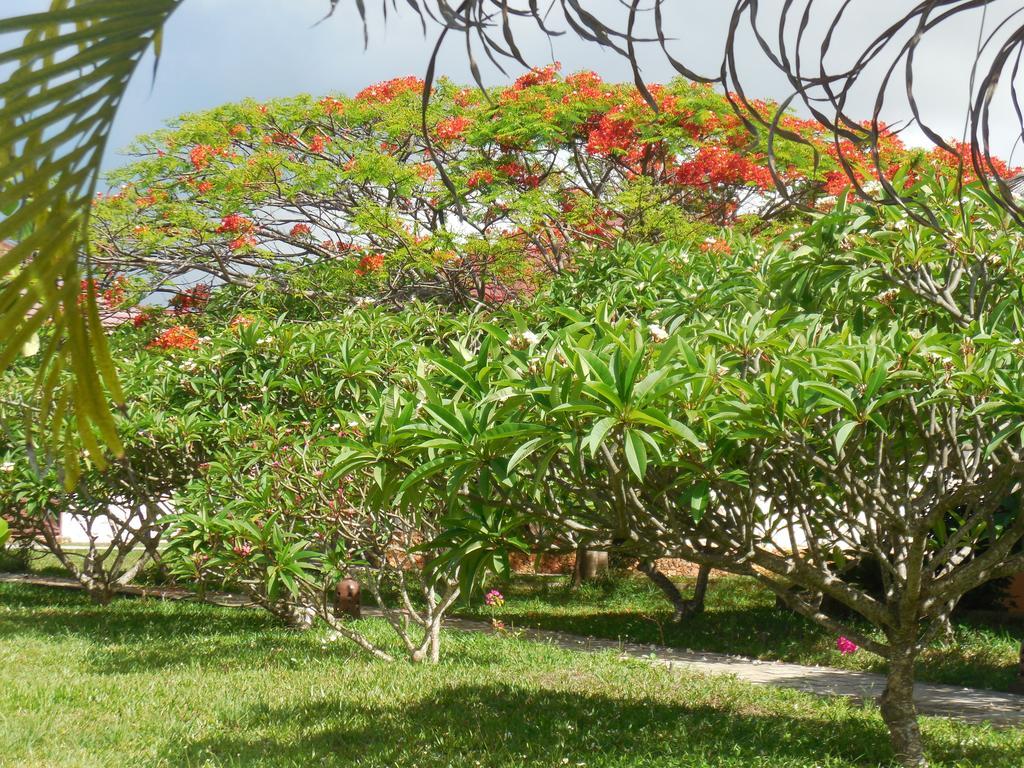 Swahili Beach Resort Sansibar Exterior foto